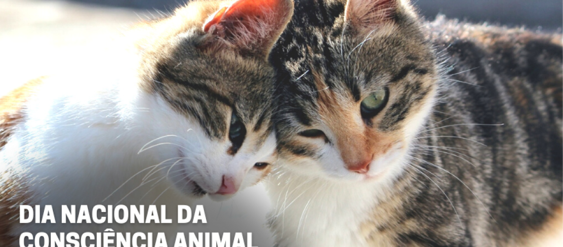 Noticias_FORUM-1