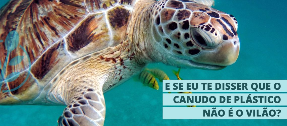 canudo