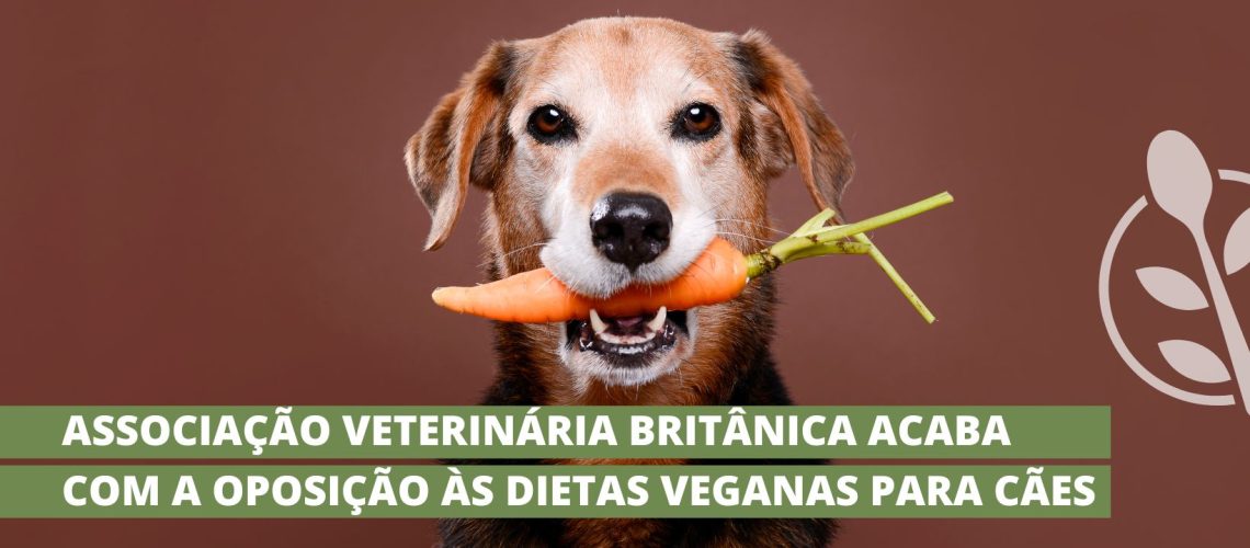 cão vegano