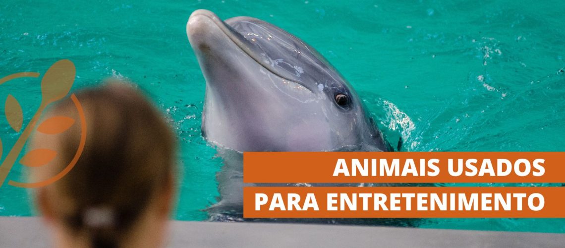 entretenimento