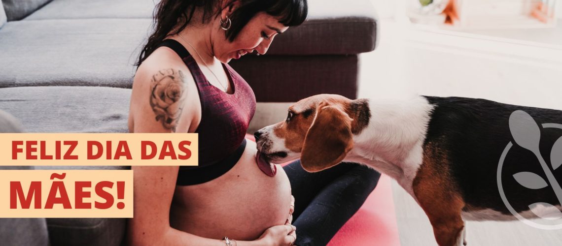 feliz dia das mães