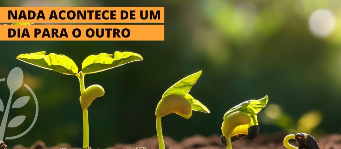 nada acontece de um dia para o outro